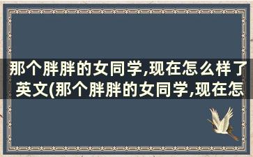 那个胖胖的女同学,现在怎么样了英文(那个胖胖的女同学,现在怎么样了)