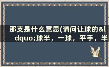 那支是什么意思(请问让球的“球半，一球，平手，半球”什么意思)