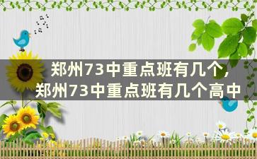 郑州73中重点班有几个,郑州73中重点班有几个高中