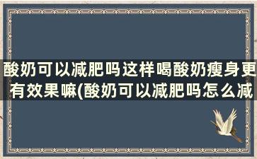 酸奶可以减肥吗这样喝酸奶瘦身更有效果嘛(酸奶可以减肥吗怎么减)