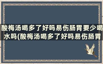 酸梅汤喝多了好吗易伤肠胃要少喝水吗(酸梅汤喝多了好吗易伤肠胃要少喝点吗)