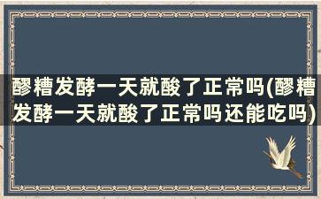 醪糟发酵一天就酸了正常吗(醪糟发酵一天就酸了正常吗还能吃吗)