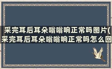 采完耳后耳朵嗡嗡响正常吗图片(采完耳后耳朵嗡嗡响正常吗怎么回事)