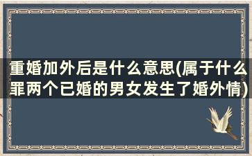 重婚加外后是什么意思(属于什么罪两个已婚的男女发生了婚外情)