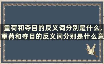 重荷和夺目的反义词分别是什么,重荷和夺目的反义词分别是什么意思