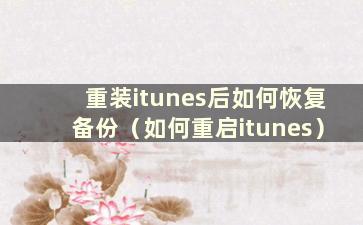 重装itunes后如何恢复备份（如何重启itunes）