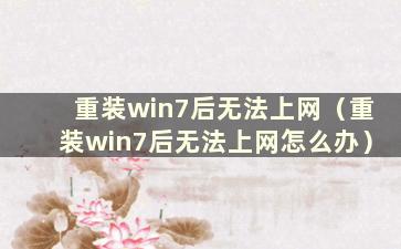 重装win7后无法上网（重装win7后无法上网怎么办）