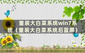 重装大白菜系统win7系统（重装大白菜系统后蓝屏）