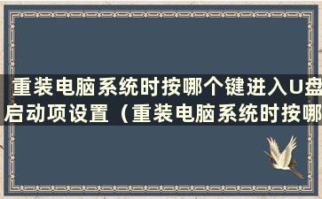 重装电脑系统时按哪个键进入U盘启动项设置（重装电脑系统时按哪个键进入U盘启动项）