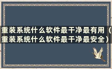 重装系统什么软件最干净最有用（重装系统什么软件最干净最安全）