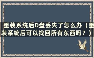 重装系统后D盘丢失了怎么办（重装系统后可以找回所有东西吗？）