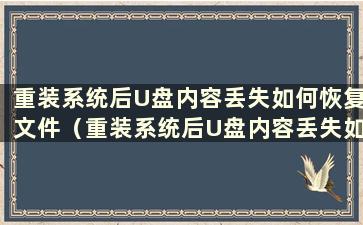 重装系统后U盘内容丢失如何恢复文件（重装系统后U盘内容丢失如何恢复文件）