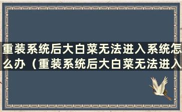 重装系统后大白菜无法进入系统怎么办（重装系统后大白菜无法进入系统）