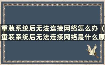 重装系统后无法连接网络怎么办（重装系统后无法连接网络是什么原因）