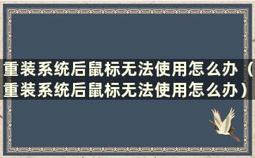 重装系统后鼠标无法使用怎么办（重装系统后鼠标无法使用怎么办）