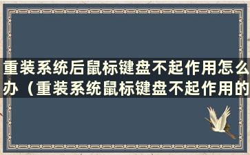 重装系统后鼠标键盘不起作用怎么办（重装系统鼠标键盘不起作用的解决办法）