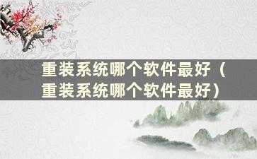 重装系统哪个软件最好（重装系统哪个软件最好）