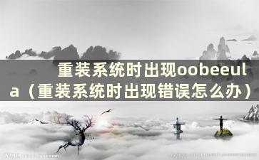 重装系统时出现oobeeula（重装系统时出现错误怎么办）