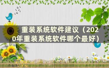 重装系统软件建议（2020年重装系统软件哪个最好）