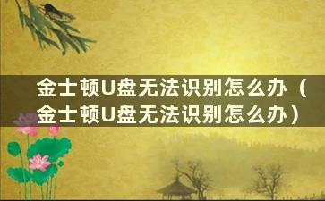 金士顿U盘无法识别怎么办（金士顿U盘无法识别怎么办）