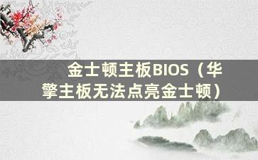 金士顿主板BIOS（华擎主板无法点亮金士顿）