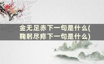 金无足赤下一句是什么(鞠躬尽瘁下一句是什么)