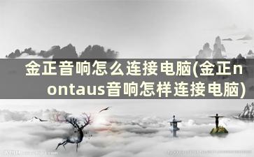 金正音响怎么连接电脑(金正nontaus音响怎样连接电脑)