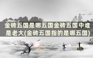 金砖五国是哪五国金砖五国中谁是老大(金砖五国指的是哪五国)