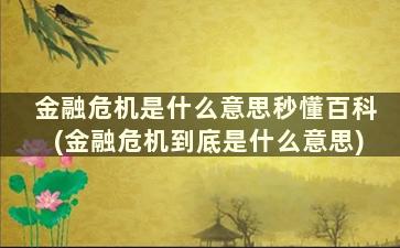 金融危机是什么意思秒懂百科(金融危机到底是什么意思)