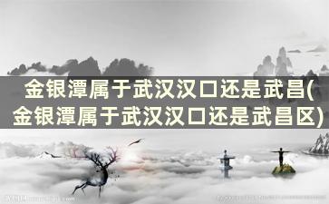 金银潭属于武汉汉口还是武昌(金银潭属于武汉汉口还是武昌区)