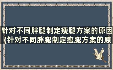 针对不同胖腿制定瘦腿方案的原因(针对不同胖腿制定瘦腿方案的原则)