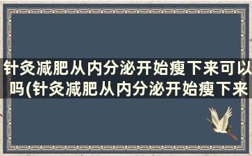 针灸减肥从内分泌开始瘦下来可以吗(针灸减肥从内分泌开始瘦下来要多久)