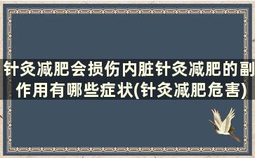 针灸减肥会损伤内脏针灸减肥的副作用有哪些症状(针灸减肥危害)