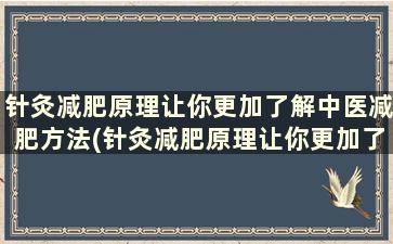 针灸减肥原理让你更加了解中医减肥方法(针灸减肥原理让你更加了解中医减肥的原理)