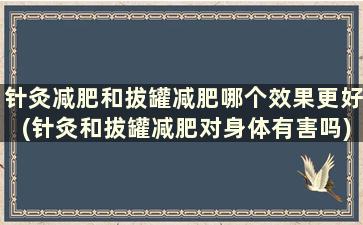 针灸减肥和拔罐减肥哪个效果更好(针灸和拔罐减肥对身体有害吗)