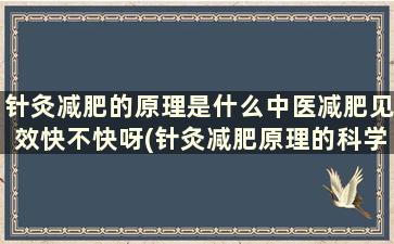 针灸减肥的原理是什么中医减肥见效快不快呀(针灸减肥原理的科学解释)