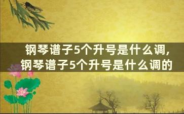 钢琴谱子5个升号是什么调,钢琴谱子5个升号是什么调的