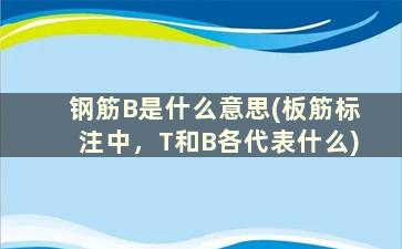 钢筋B是什么意思(板筋标注中，T和B各代表什么)