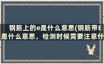 钢筋上的e是什么意思(钢筋带E是什么意思，检测时候需要注意什么事项)