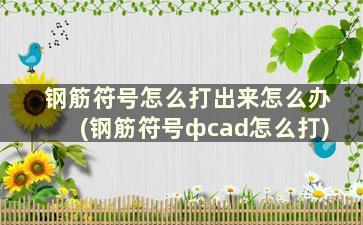 钢筋符号怎么打出来怎么办(钢筋符号фcad怎么打)