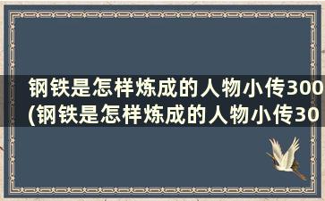 钢铁是怎样炼成的人物小传300(钢铁是怎样炼成的人物小传300字作文)