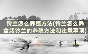 铃兰怎么养殖方法(铃兰怎么养盆栽铃兰的养殖方法和注意事项)