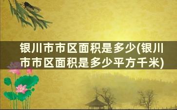 银川市市区面积是多少(银川市市区面积是多少平方千米)