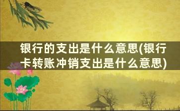 银行的支出是什么意思(银行卡转账冲销支出是什么意思)