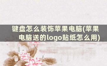 键盘怎么装饰苹果电脑(苹果电脑送的logo贴纸怎么用)