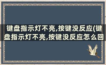 键盘指示灯不亮,按键没反应(键盘指示灯不亮,按键没反应怎么回事)