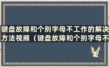 键盘故障和个别字母不工作的解决方法视频（键盘故障和个别字母不工作的解决方案是什么）