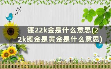 镀22k金是什么意思(22k镀金是黄金是什么意思)