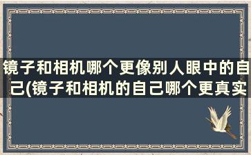 镜子和相机哪个更像别人眼中的自己(镜子和相机的自己哪个更真实)