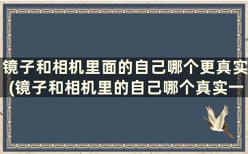 镜子和相机里面的自己哪个更真实(镜子和相机里的自己哪个真实一点)